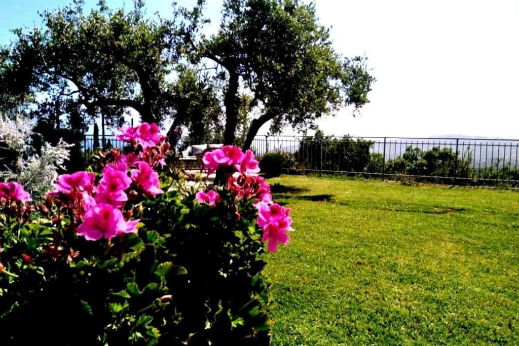 Casa Vista Mare - Superb Garden And Parking Included Villa Империа Екстериор снимка