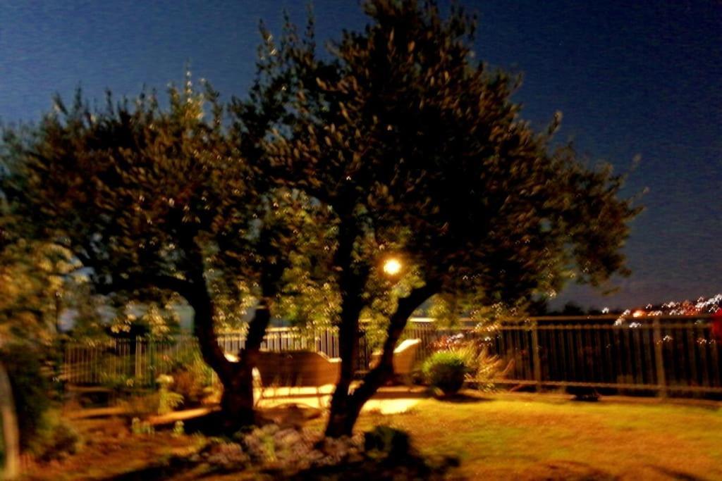 Casa Vista Mare - Superb Garden And Parking Included Villa Империа Екстериор снимка