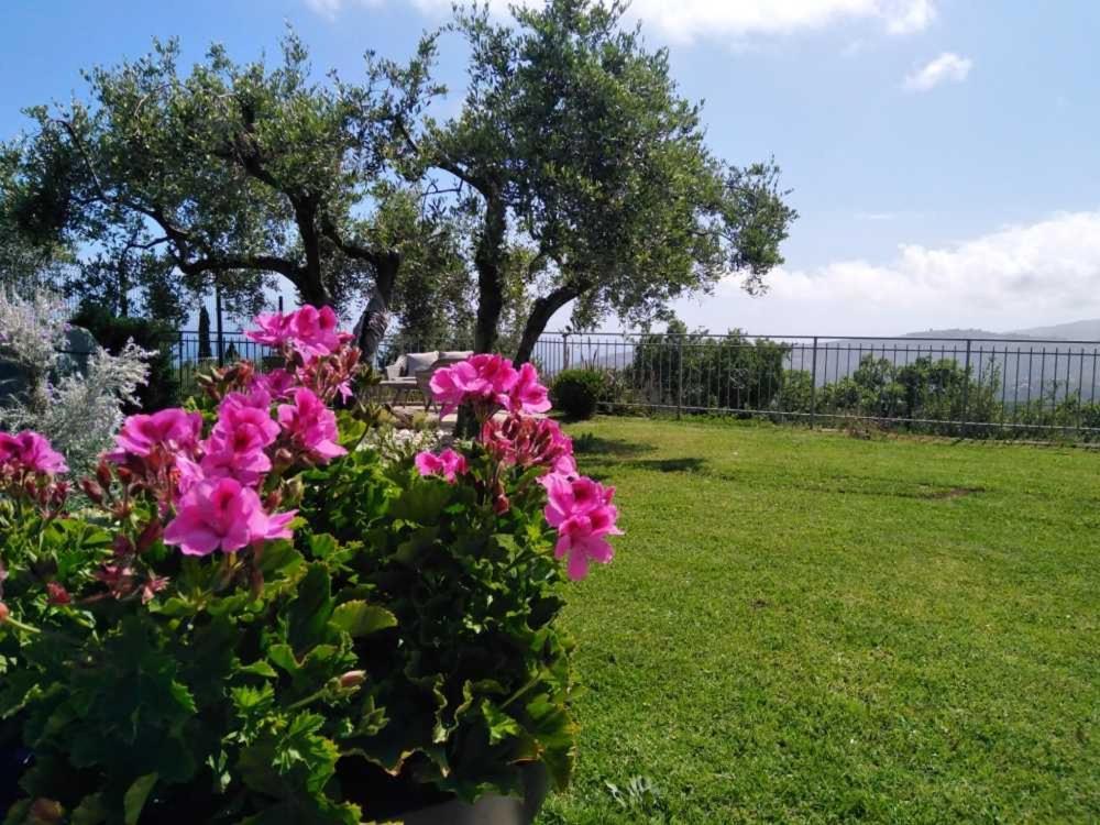 Casa Vista Mare - Superb Garden And Parking Included Villa Империа Екстериор снимка